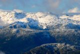 DSC_6508.jpg